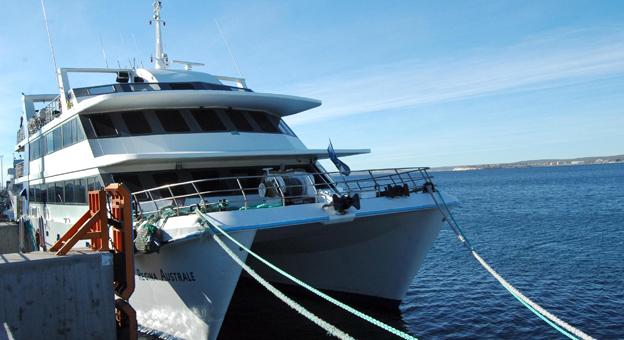 Excursiones náuticas en el crucero Australe en Madryn