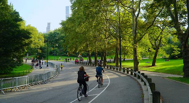 Central Park NY