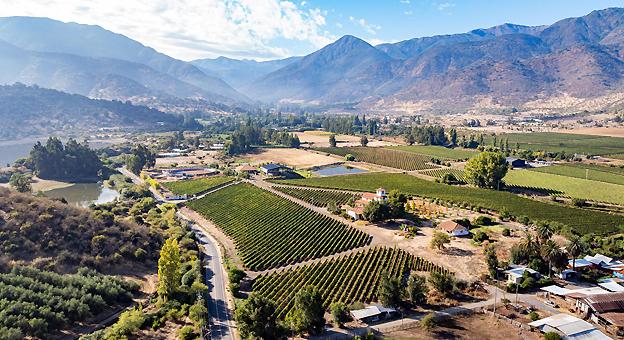 Viñedos en el Valle de Malloa